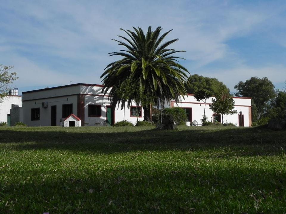 Estancia Turistica La Providencia Termas del Daymán Exterior foto