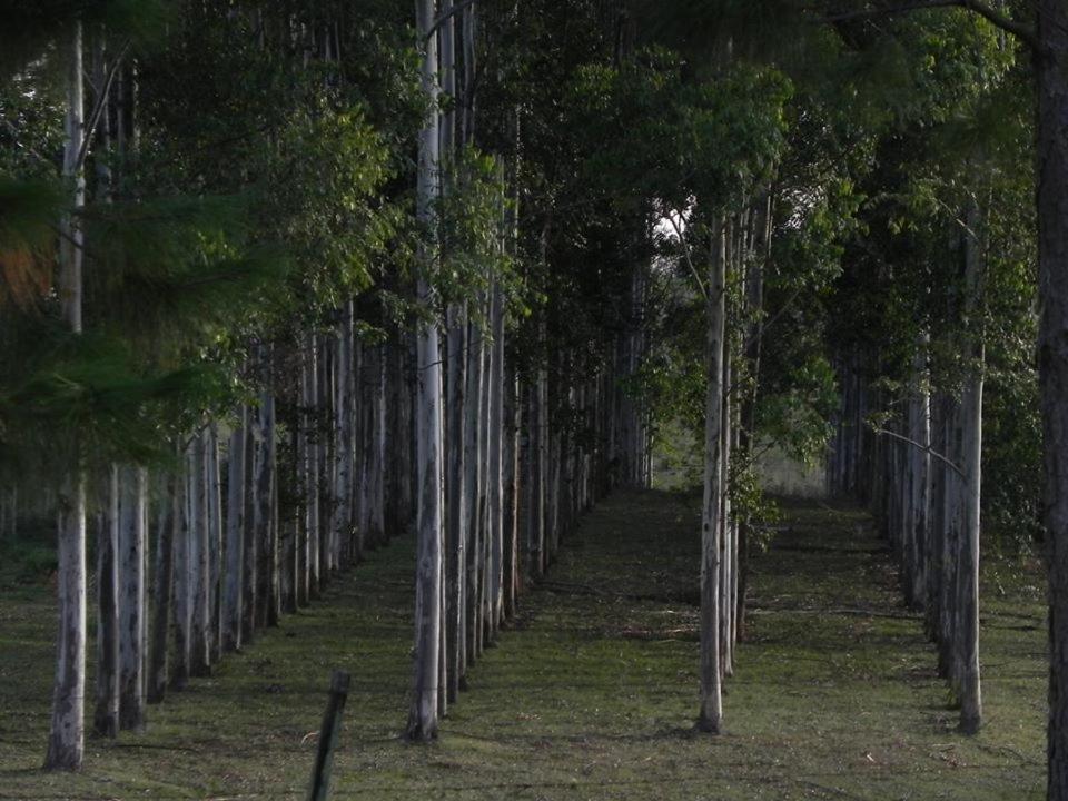 Estancia Turistica La Providencia Termas del Daymán Exterior foto